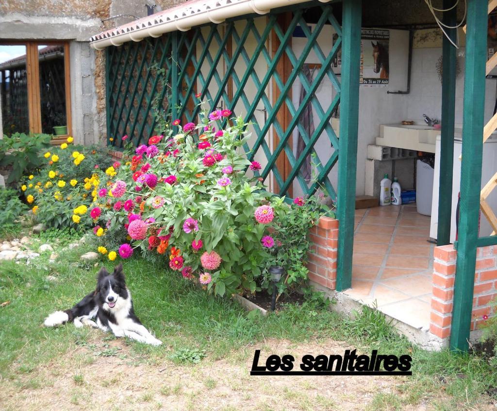 Ferme Equestre Les Chevaliers Hotel Penol Exterior photo