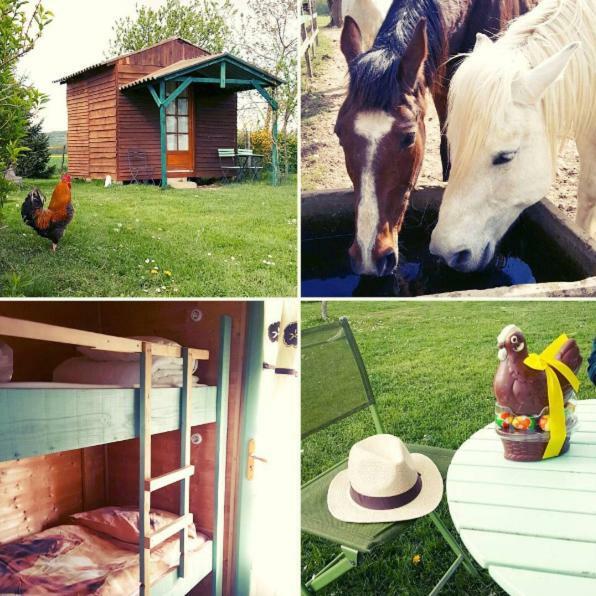 Ferme Equestre Les Chevaliers Hotel Penol Exterior photo